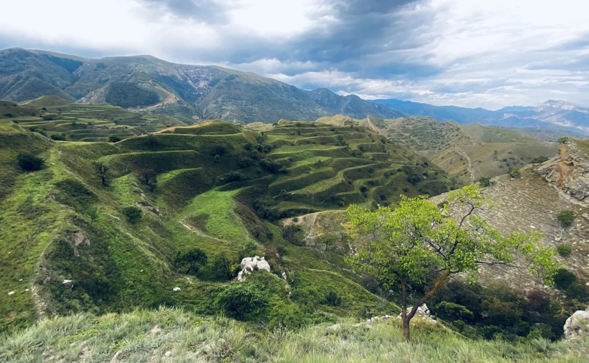 Бесплатные сливы вк в телеграмме фото 87